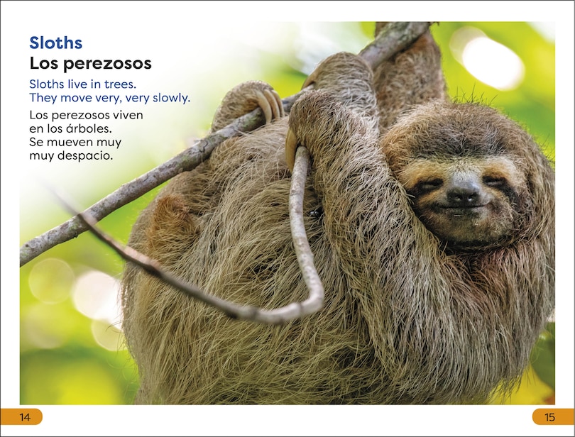 Sample content 2_DK Super Readers Level 1 Spanish Bilingual Jungle Animals â€“ Animales de la selva