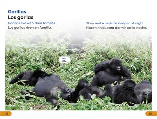 Sample content 3_DK Super Readers Level 1 Spanish Bilingual Jungle Animals â€“ Animales de la selva