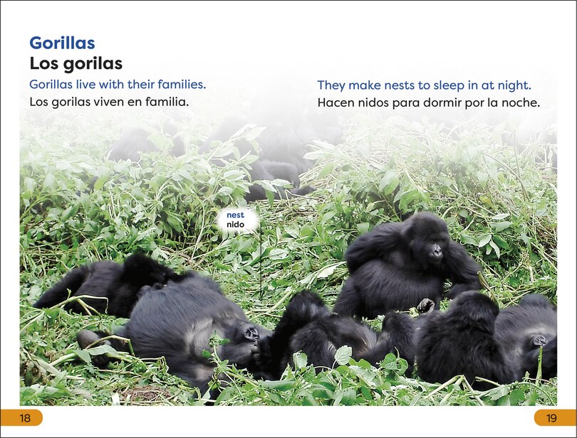 Sample content 3_DK Super Readers Level 1 Spanish Bilingual Jungle Animals â€“ Animales de la selva