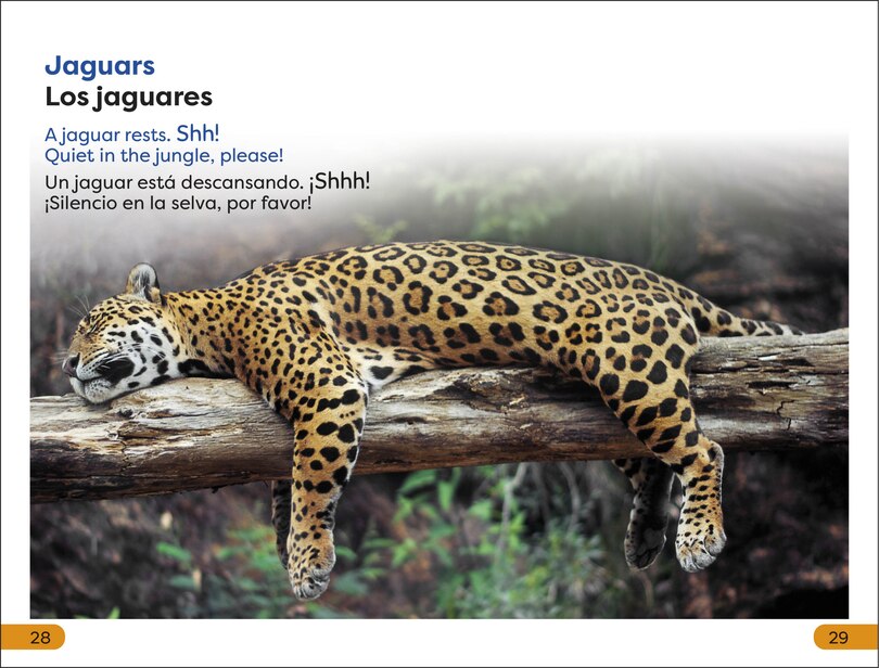 Sample content 5_DK Super Readers Level 1 Spanish Bilingual Jungle Animals â€“ Animales de la selva