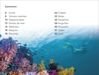 Sample content_DK Super Readers Level 1 Explore le Récif corallien (Explore the Coral Reef)