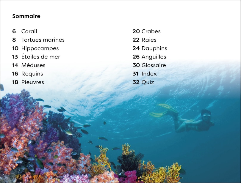 Sample content_DK Super Readers Level 1 Explore le Récif corallien (Explore the Coral Reef)