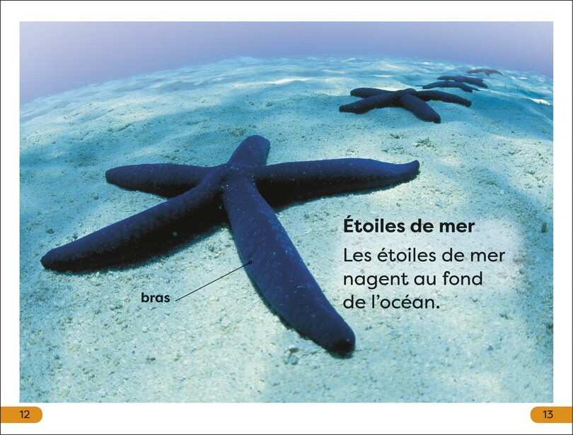 Sample content 3_DK Super Readers Level 1 Explore le Récif corallien (Explore the Coral Reef)