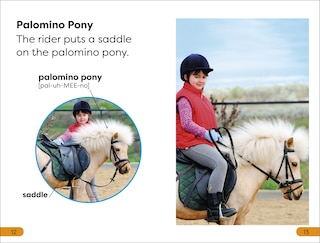 Aper&ccedil;u du contenu 2_DK Super Readers Level 1 Ponies and Horses