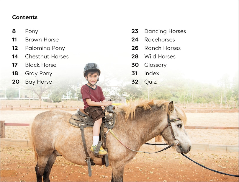 Sample content_DK Super Readers Level 1 Ponies and Horses