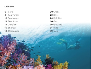 Sample content_DK Super Readers Level 1 Explore the Coral Reef