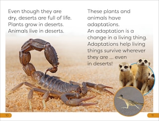 Sample content 3_DK Super Readers Level 1 Desert Plants and Animals