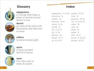 Sample content_DK Super Readers Level 1 Desert Plants and Animals