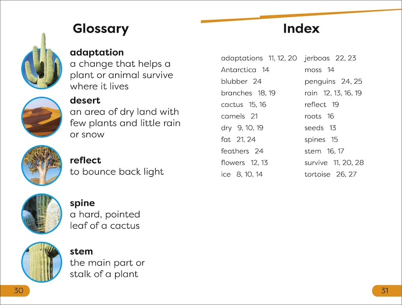 Sample content_DK Super Readers Level 1 Desert Plants and Animals