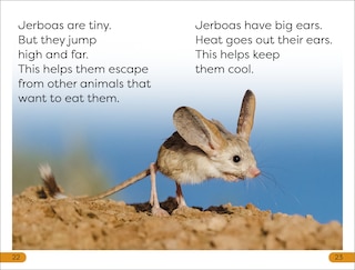 Sample content 2_DK Super Readers Level 1 Desert Plants and Animals