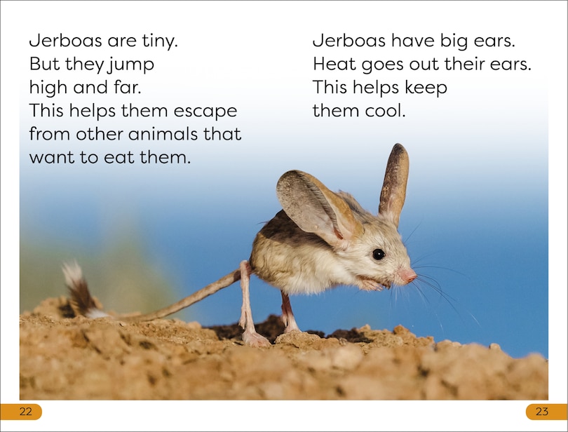 Sample content 2_DK Super Readers Level 1 Desert Plants and Animals