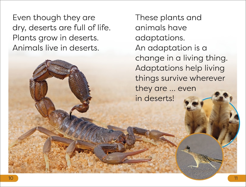 Sample content 3_DK Super Readers Level 1 Desert Plants and Animals