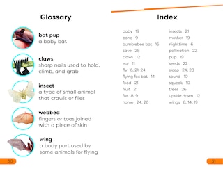 Aper&ccedil;u du contenu_DK Super Readers Level 1 All About Bats