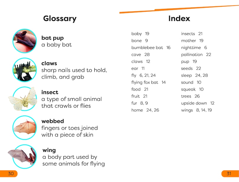 Aper&ccedil;u du contenu_DK Super Readers Level 1 All About Bats