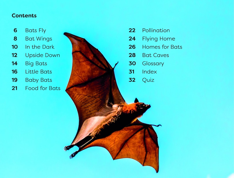 Aper&ccedil;u du contenu 3_DK Super Readers Level 1 All About Bats