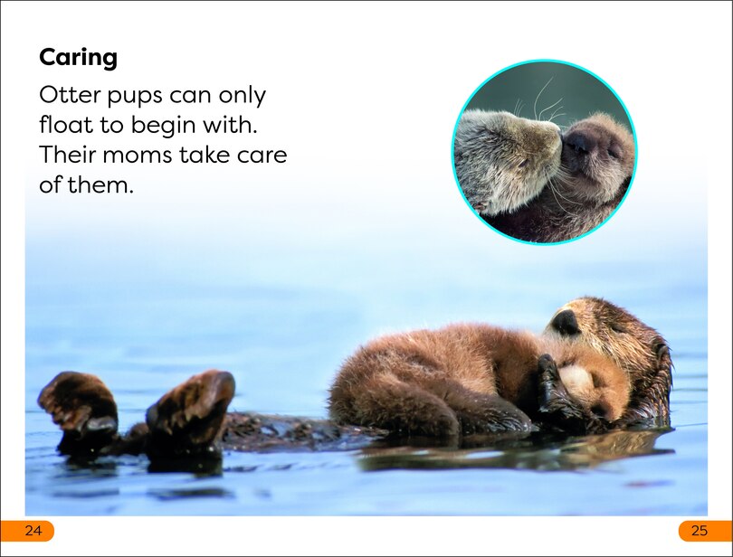 Aper&ccedil;u du contenu 2_DK Super Readers Level 1 Sea Otters