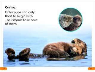 Aper&ccedil;u du contenu 2_DK Super Readers Level 1 Sea Otters