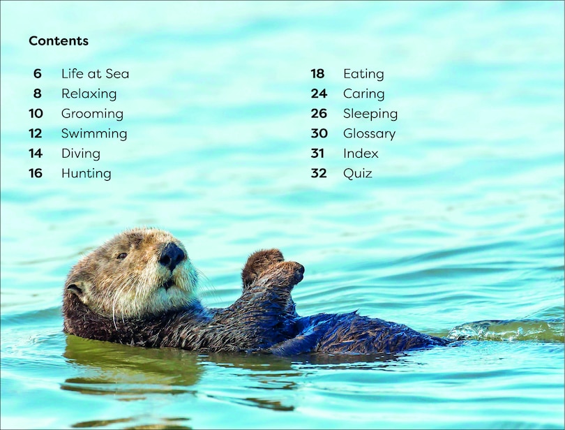 Aper&ccedil;u du contenu 3_DK Super Readers Level 1 Sea Otters
