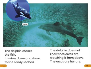 Sample content 2_DK Super Readers Level 1 Diving Dolphin