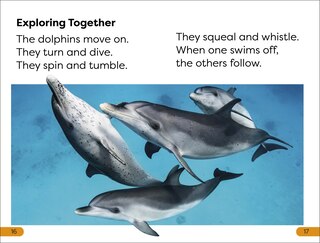 Sample content 3_DK Super Readers Level 1 Diving Dolphin