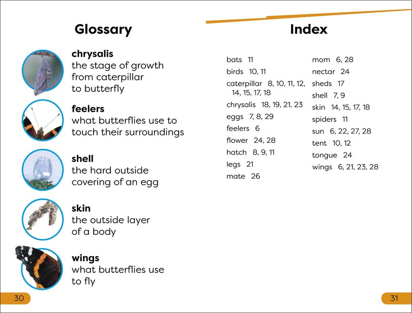 Aperçu du contenu 4_DK Super Readers Level 1 Becoming a Butterfly