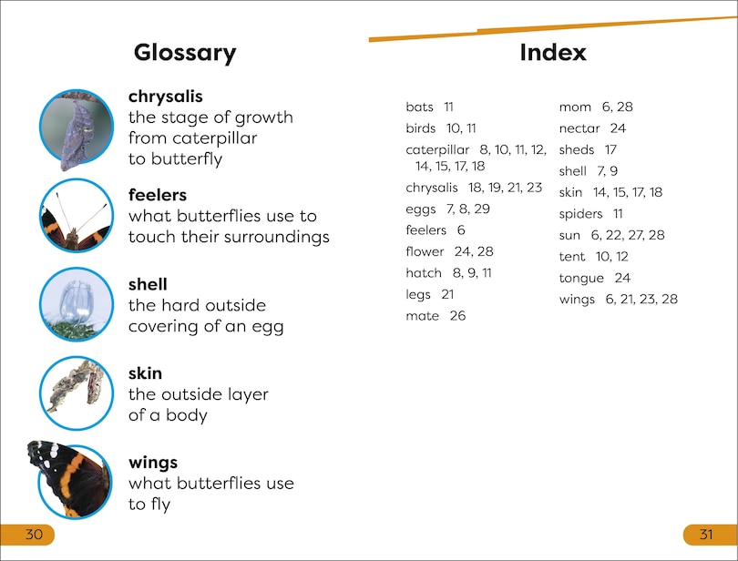 Sample content_DK Super Readers Level 1 Becoming a Butterfly