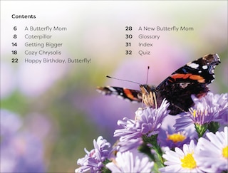 Sample content 4_DK Super Readers Level 1 Becoming a Butterfly