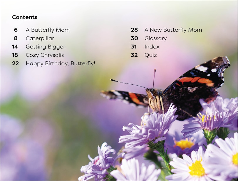 Sample content 4_DK Super Readers Level 1 Becoming a Butterfly