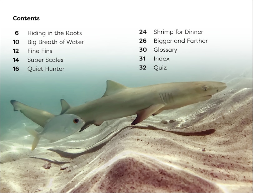 Sample content_DK Super Readers Level 1 Life of a Baby Lemon Shark