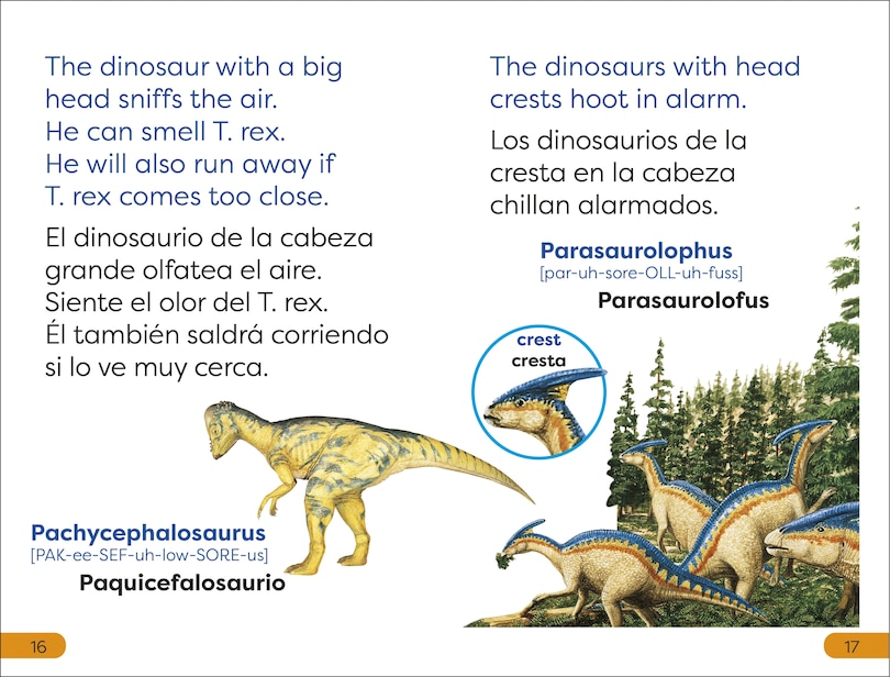 Aperçu du contenu 2_DK Super Readers Level 1 Bilingual Dinosaur’s Day – El día de un dinosaurio