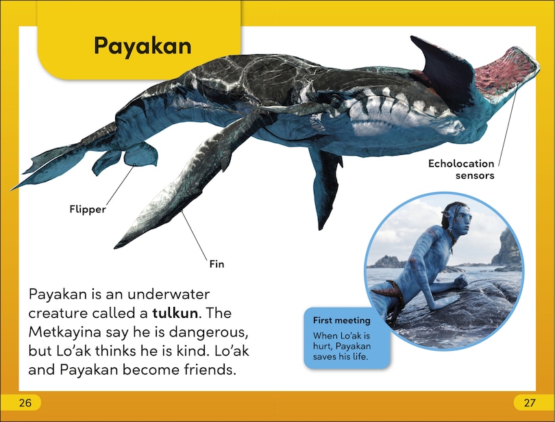 Sample content_DK Super Readers Level 2 Avatar Sullys Stick Together