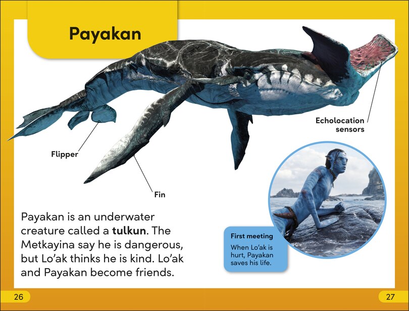 Sample content_DK Super Readers Level 2 Avatar Sullys Stick Together