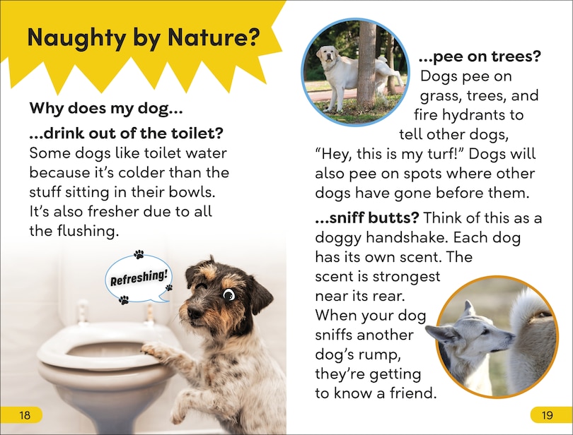 Sample content_DK Super Readers Level 2 Dog Dude