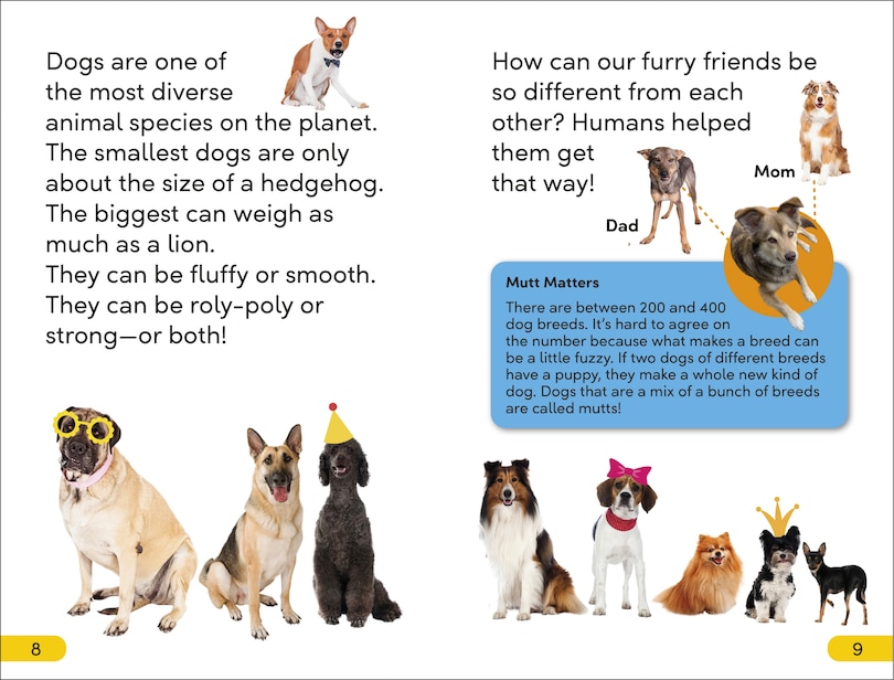 Sample content 2_DK Super Readers Level 2 Dog Dude