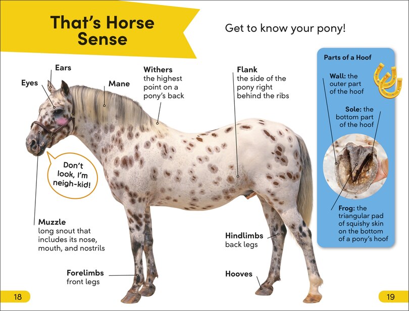 Sample content 4_DK Super Readers Level 2 Prancing Pony