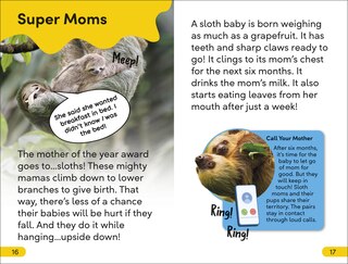 Sample content_DK Super Readers Level 2 Sassy Sloth