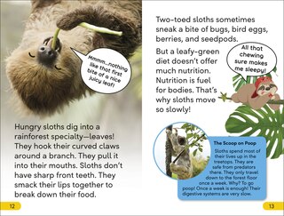 Sample content 3_DK Super Readers Level 2 Sassy Sloth