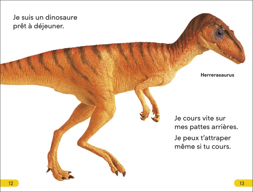 Sample content 3_DK Super Readers Level 2 French Translation Dinosaur Dinners - Le DÃ®ner des dinosaures