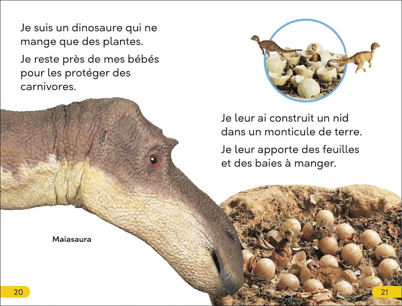 Sample content 5_DK Super Readers Level 2 French Translation Dinosaur Dinners - Le DÃ®ner des dinosaures