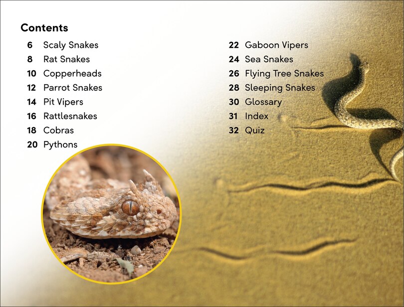 Sample content_DK Super Readers Level 2 Snakes Slither and Hiss