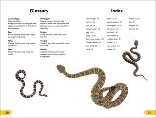 Sample content 3_DK Super Readers Level 2 Snakes Slither and Hiss