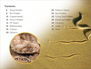 Sample content_DK Super Readers Level 2 Snakes Slither and Hiss