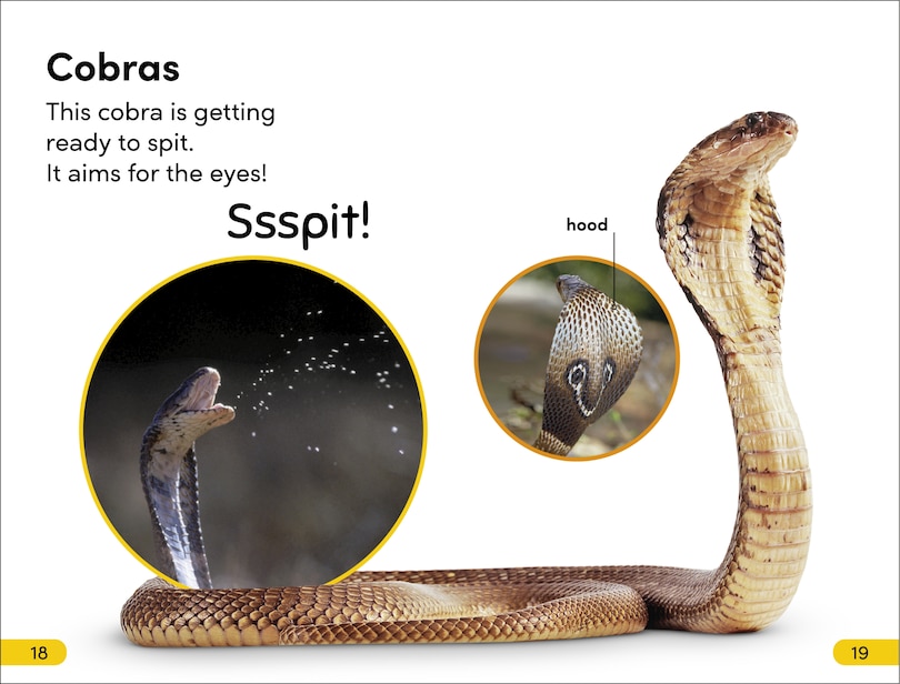 Sample content 2_DK Super Readers Level 2 Snakes Slither and Hiss