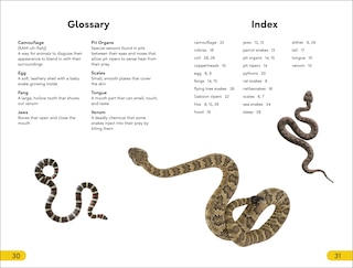 Sample content 3_DK Super Readers Level 2 Snakes Slither and Hiss