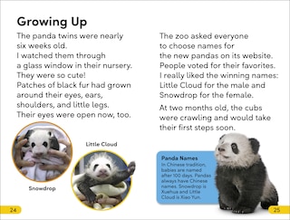 Aperçu du contenu 2_DK Super Readers Level 2 The Great Panda Tale