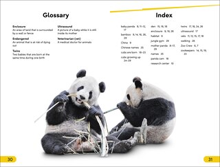 Aper&ccedil;u du contenu_DK Super Readers Level 2 The Great Panda Tale