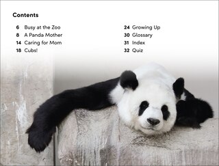 Aper&ccedil;u du contenu 3_DK Super Readers Level 2 The Great Panda Tale