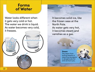 Aper&ccedil;u du contenu 2_DK Super Readers Level 2 Water Everywhere