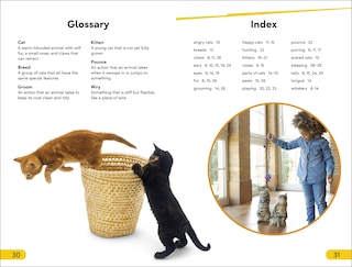 Sample content_DK Super Readers Level 2 Cats and Kittens