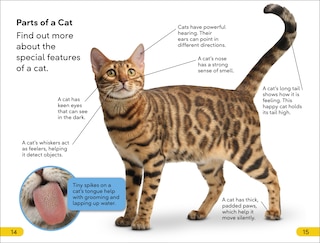 Sample content 2_DK Super Readers Level 2 Cats and Kittens